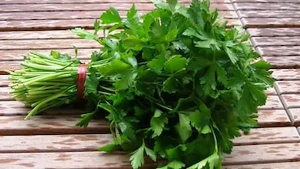 تصویر 4 از فروش سبزی جعفری تازه + قیمت خرید به صرفه